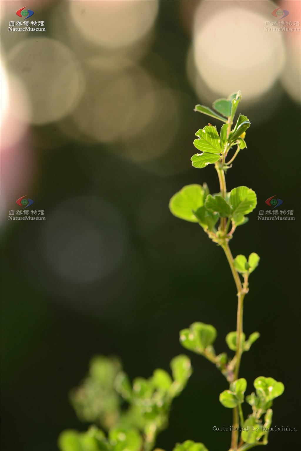 http://www.cfh.ac.cn/album/ShowPhoto.aspx?photoid=16d36ae7-c264-4ded-bffb-bf42bf4875b7